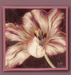 GOBELÄNG 9076 Tulipe. 150x150. Klicka för stor bild.