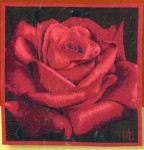 GOBELÄNG 9178 Rose rouge. Mått 150x150 cm. Klicka för stor bild